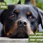Let the employee do most of the talking at the annual performance review