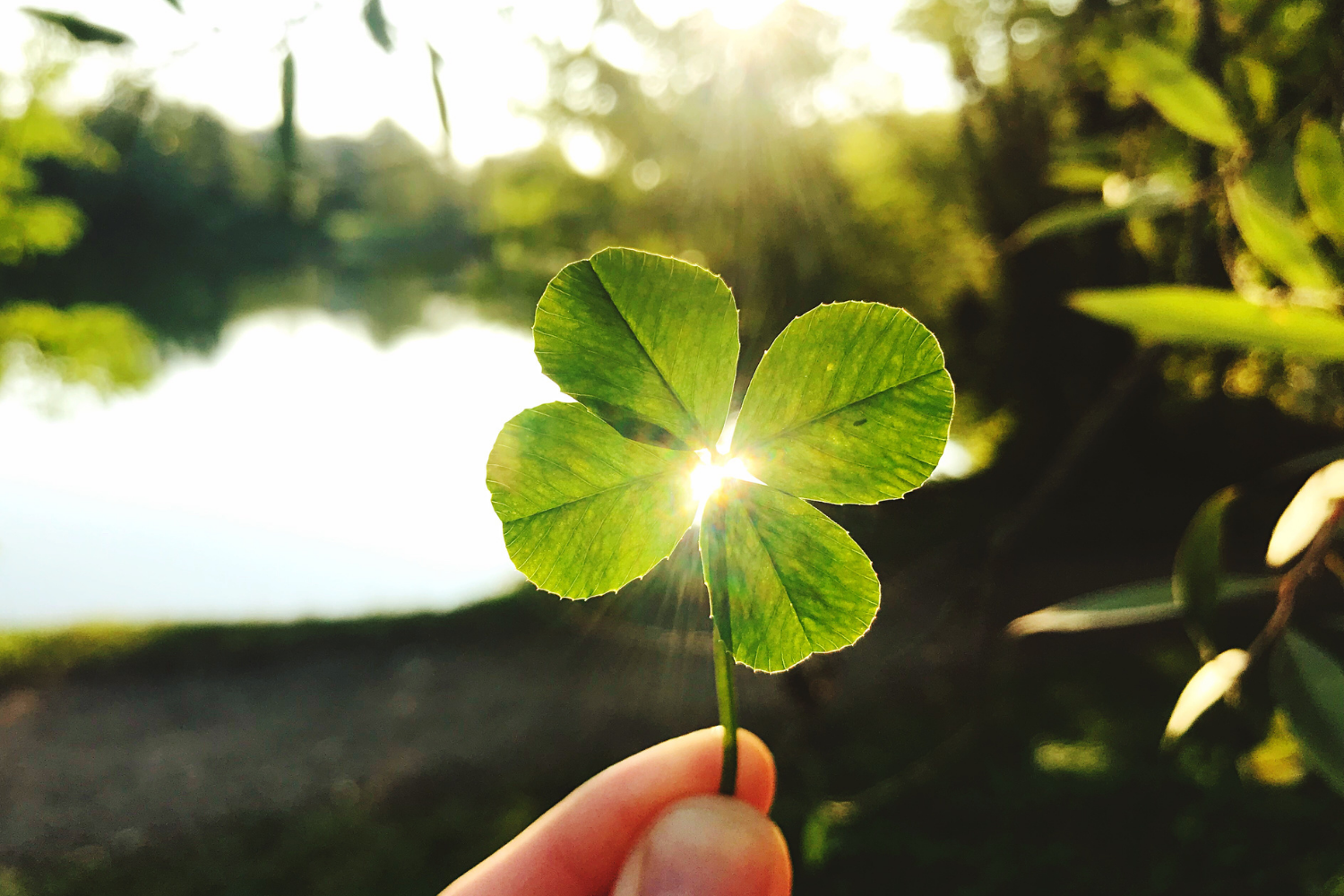 Quick Win – Don’t Let Luck Determine Your Success